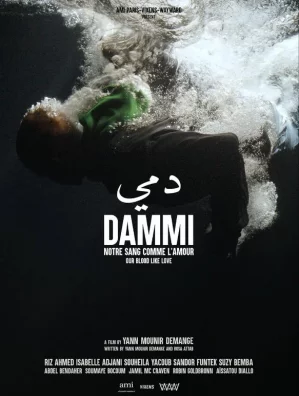 Dammi
