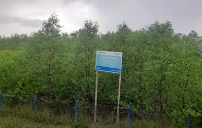 The image shows Friendship’s artificial forest in Shyamnagar upazila of Satkhira. Photo: Dhaka Tribune