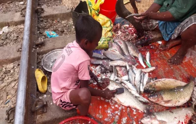 Children scaling fish at a market. Photo: Famiha Suhrawardy/Dhaka Tribune