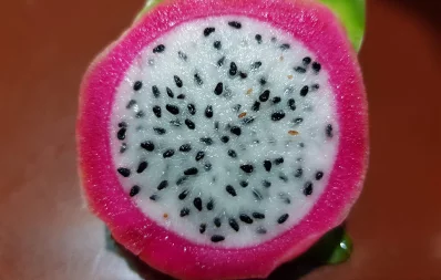 This undated file image shows the inside flesh of a dragon fruit. Photo: Probir Kumar Sarker/Dhaka Tribune
