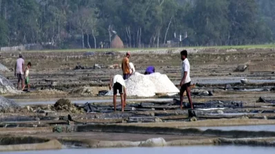 Farmers working in a salt field in Cox`s Bazar. Photo: Dhaka Tribune
