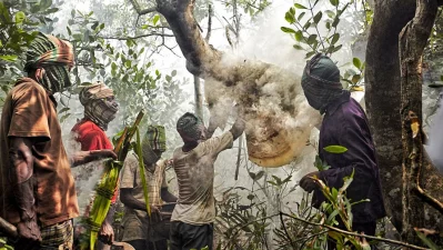 The image shows honey hunting in the Sundarbans, Photo: Muhammad Mostafigur Rahmann