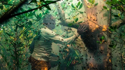 Traditional honey collection in Sundarbans. Photo: Muhammad Mostafigur Rahman