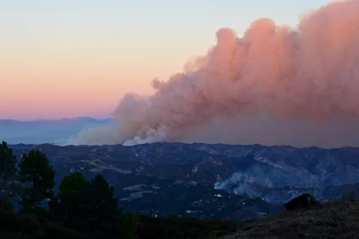 Smoke billows from the Palisades fire as seen from Saddle Peak Road, near Fernwood, Topanga, a community in western Los Angeles County, California in January 10, 2024. Photo: AFP