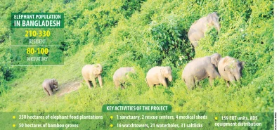 Elephant infograph: Photo: Dhaka Tribune