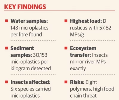 Microplastics