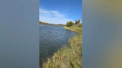 A scenic view of the riverbank at Cranberry Flats. Photo: Collected