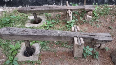 A pair of dhenki – a traditional rice husker, a rural tool used historically in Bangladesh and some other parts of South Asia for milling rice and other grains. It is a manually operated machine powered by foot to pound grain in a mortar. Made primarily of wood, it consists of a long lever arm with a pestle on one end and a pivot point in the middle. Photo: Dhaka Tribune