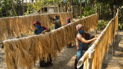 Women dry banana fiber in Lalmonirhat after processing agricultural waste into usable material, illustrating how climate action can also create local livelihoods and economic opportunity. Photo: Kingshuk Partha/ICCCAD, IUB