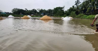 Cropland have been submerged following several days of continuous rainfall in Kishoreganj.