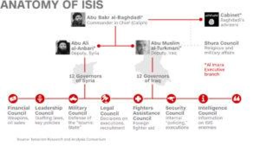 Anatomy of IS