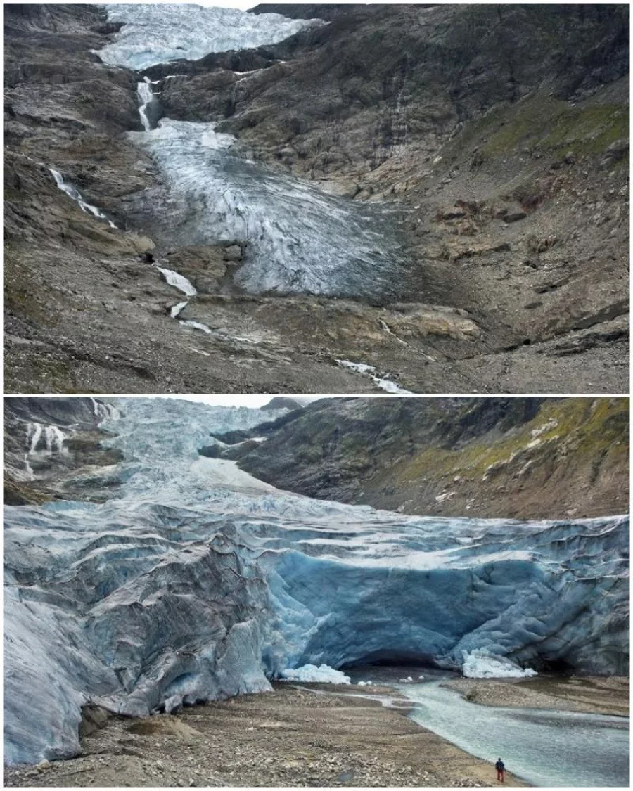 pjimage (3)