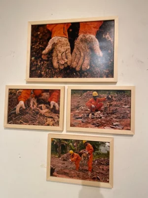 exhibition 3