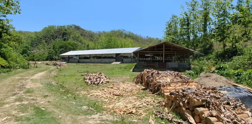 Benzir`s Agro Farm shed