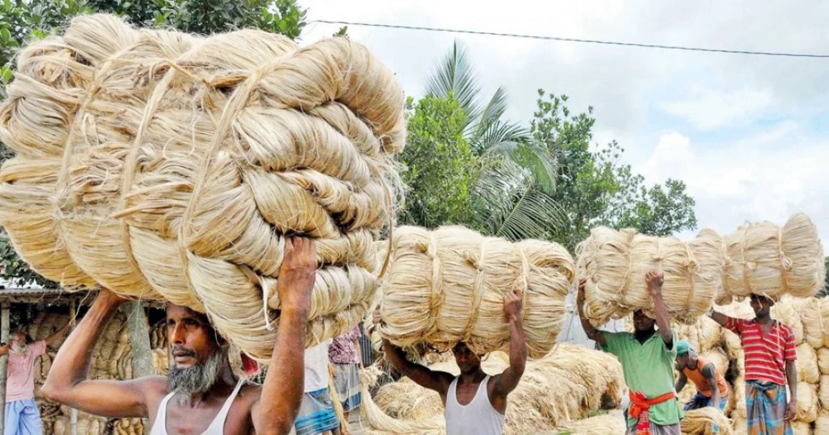 সরকারি পাটকল লিজ দেওয়া অর্থনৈতিক বাস্তবতার সাথে সামঞ্জস্যপূর্ণ