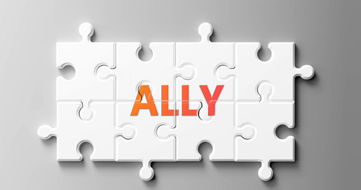 Policy above politics