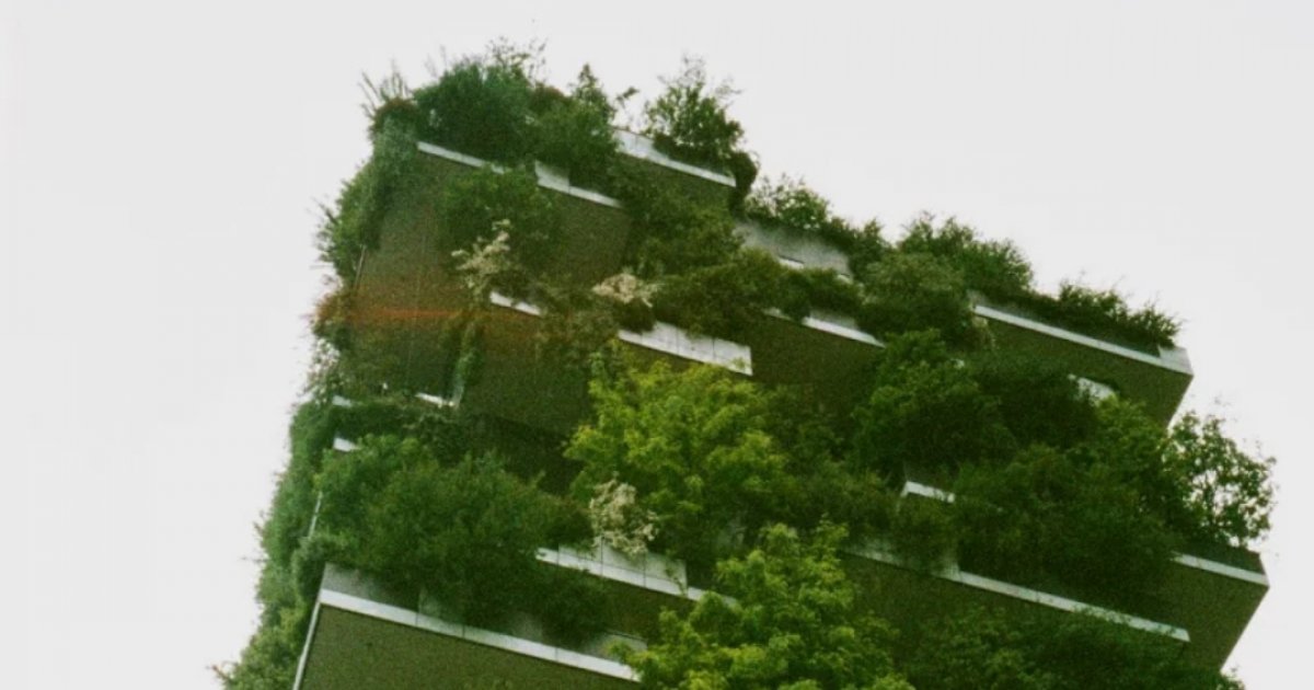 Taking action for a greener Dhaka