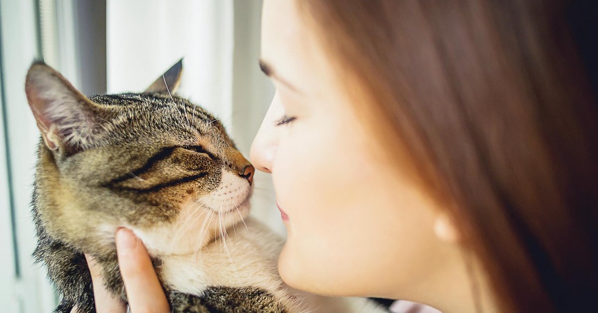 5 Fantastic Pets in Dhaka and where to get them