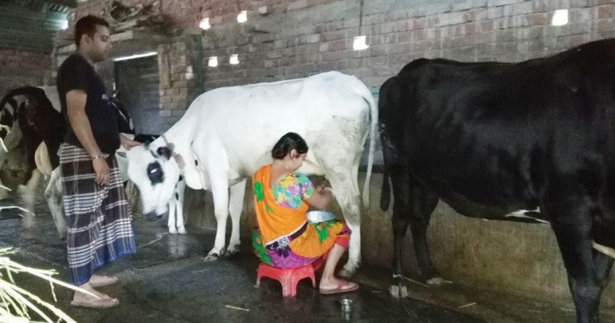 Katta sikli semiz qizni sikadi