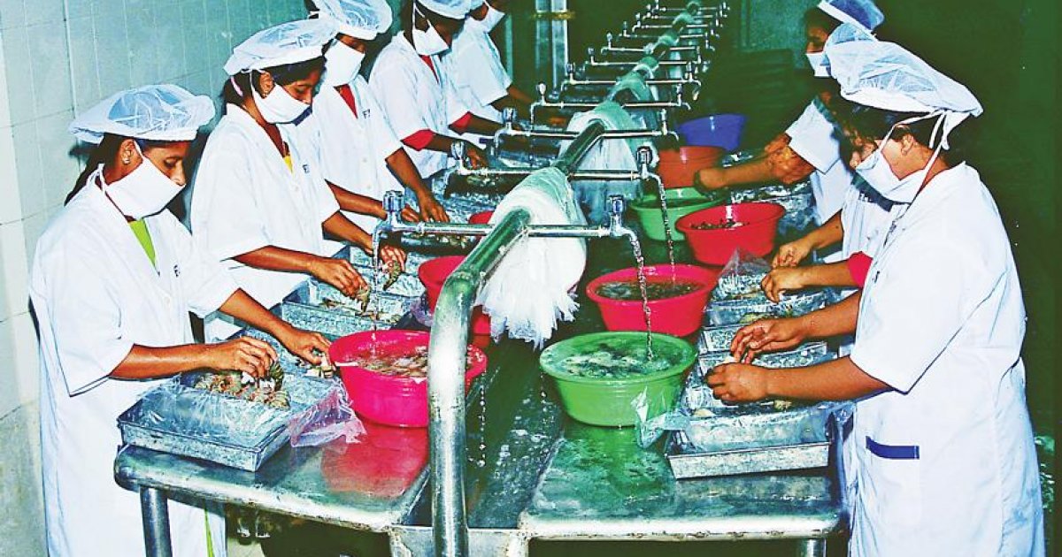 Frozen foods sector demands tax cut