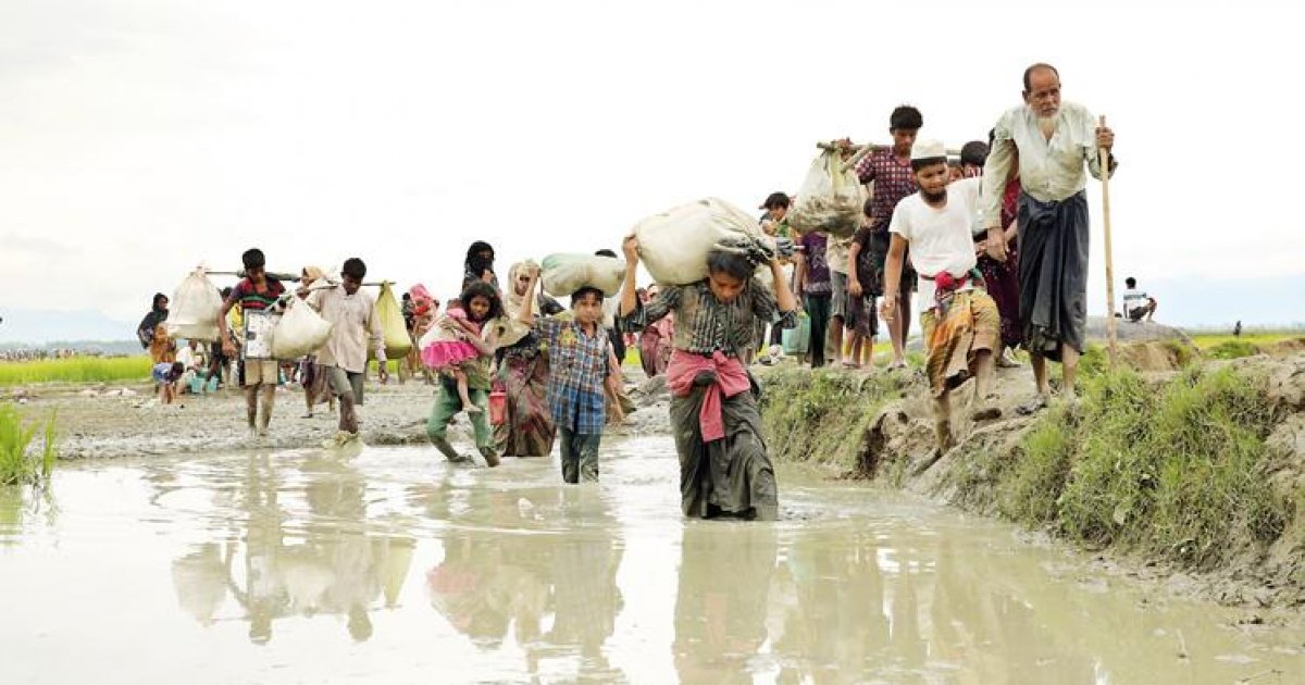 Rohingya organizations International communities in dark over