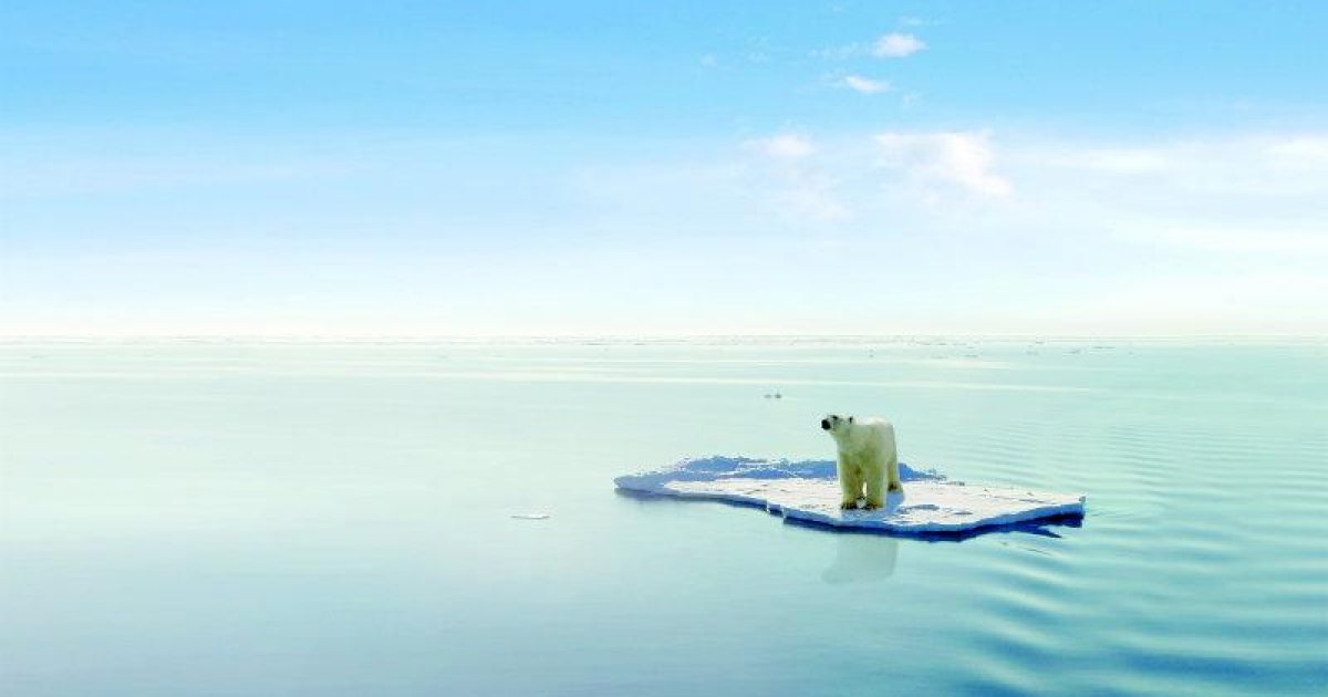 WWF Climate Director: Global warming has devastating impact on arctic ...