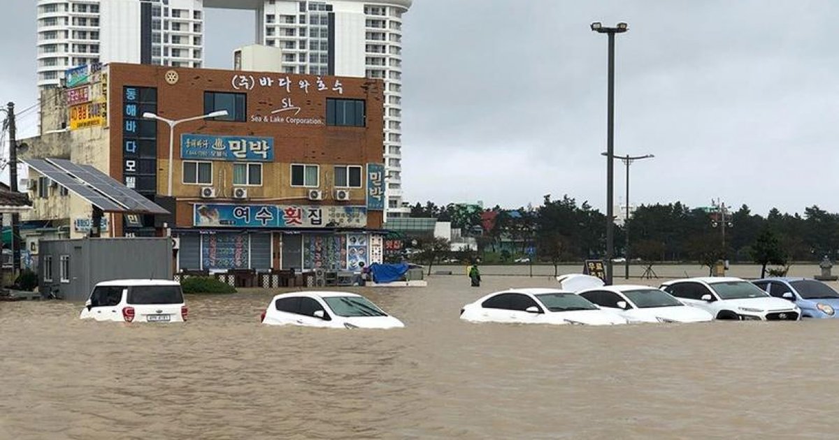 9 killed as typhoon lashes South Korea
