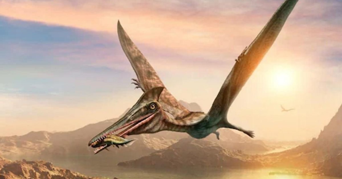 Scientists: 'Flying Dragon' dinosaur roamed the southern skies too