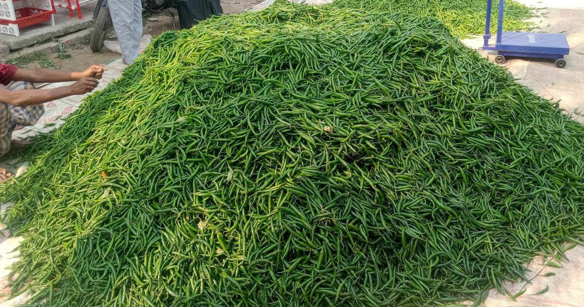 Green chillies retailing at Tk1,000 a kilo