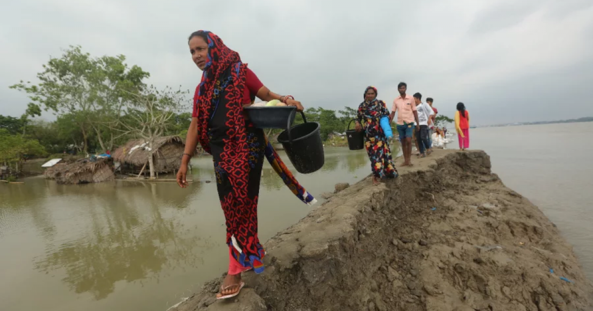 Report: Climate adaptation can unlock millions of jobs, economic growth in Bangladesh