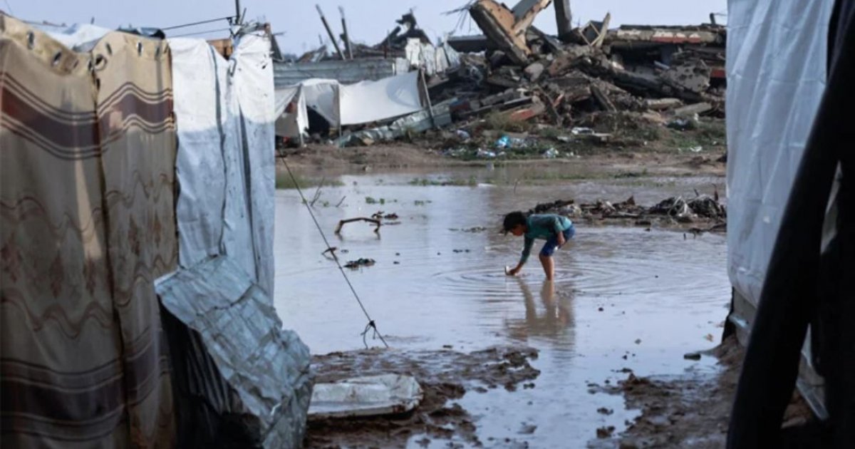 Gaza civil defense says 16 dead as heavy rains batter territory