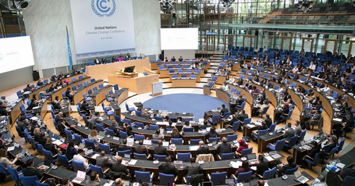 The COP process crossroads: Progress, politics and the fight for climate justice