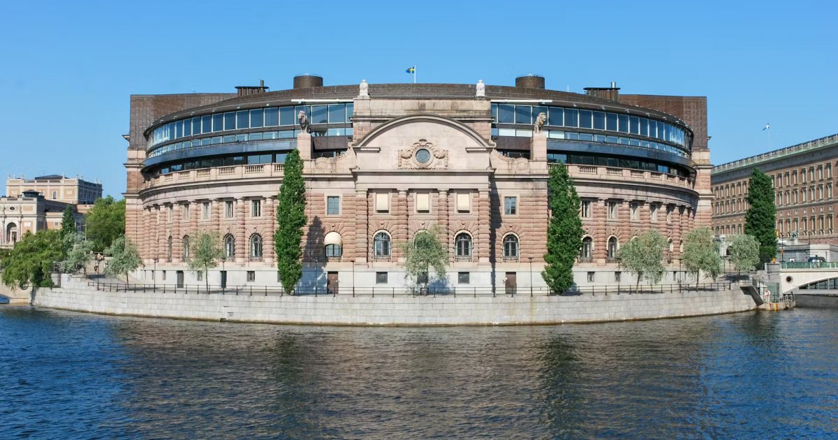 Mute Swans of Stockholm