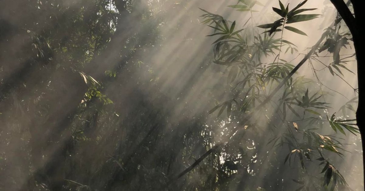 Afraid to go outside? You’re not alone