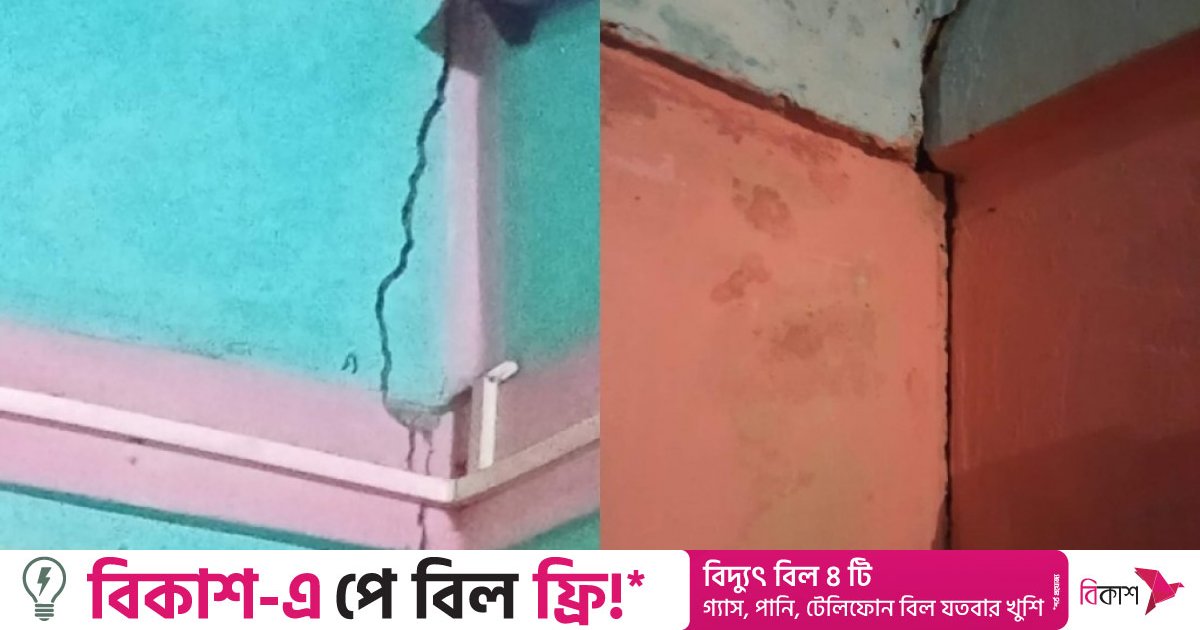 The investigation report says cracks appeared in 200 houses due to the earthquake