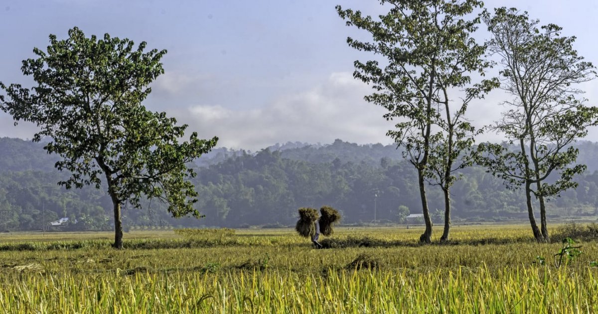 25 Chittagong triplecropping land gone in five years