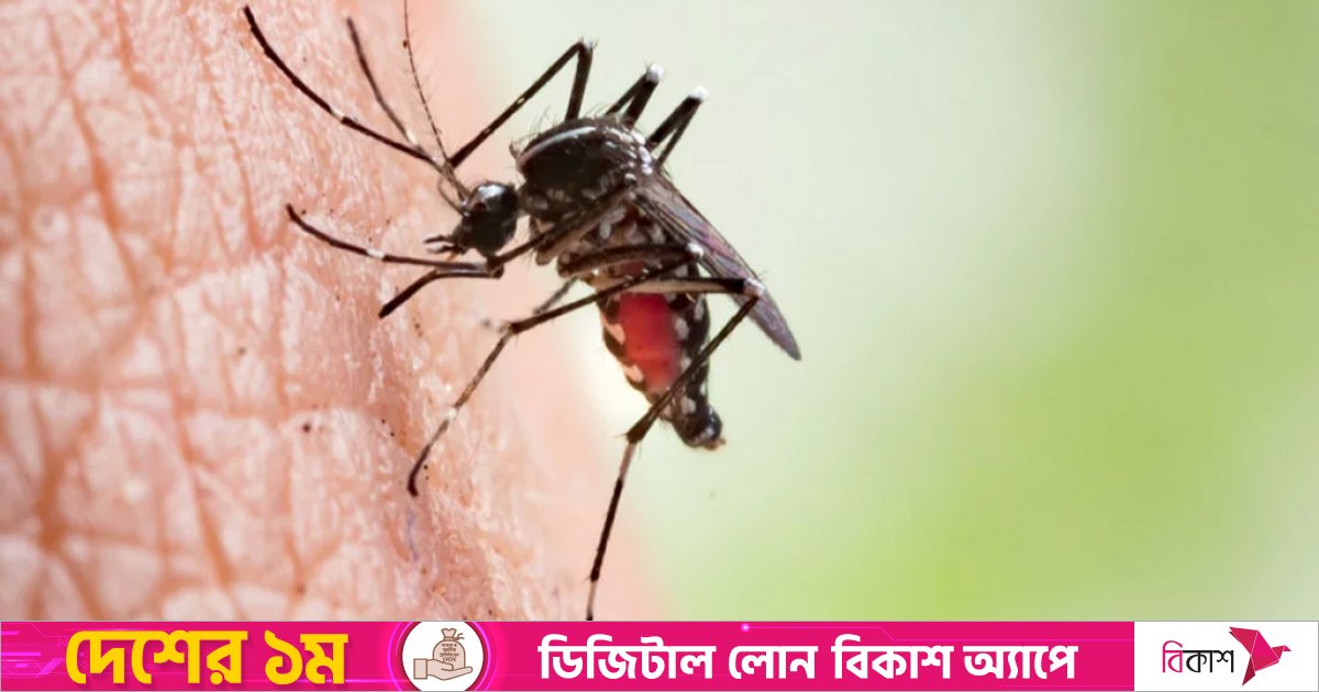 PM issues directives as dengue takes 10 more lives