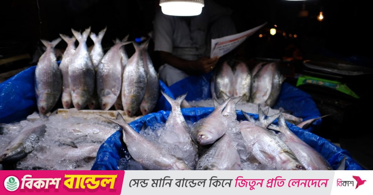 National fish turns luxury as ilish hits Tk3,000 per kg