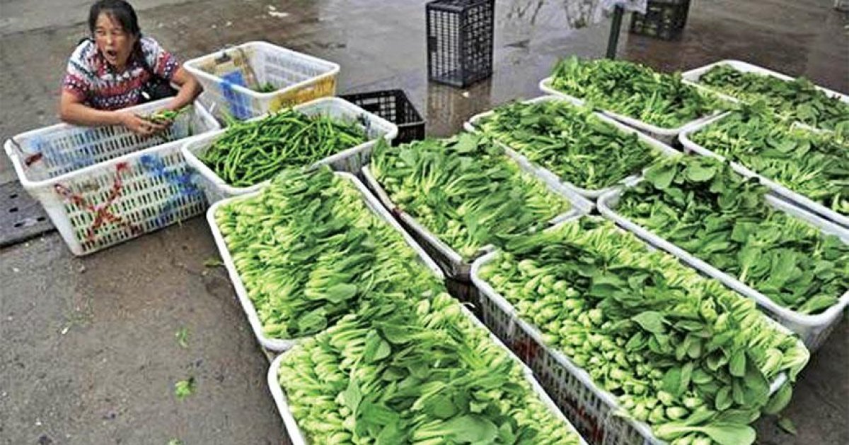 China inflation slips to near fiveyear low, more stimulus measures