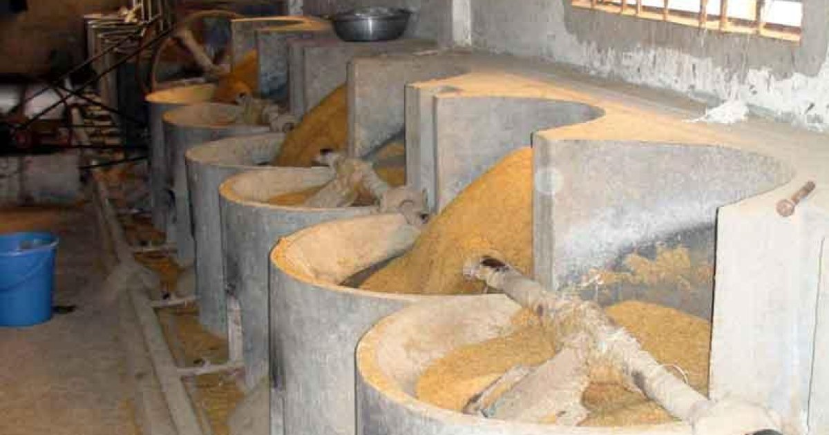 Rao Jawed Rice Factory Puffed rice production in Habiganj boost during Ramadan