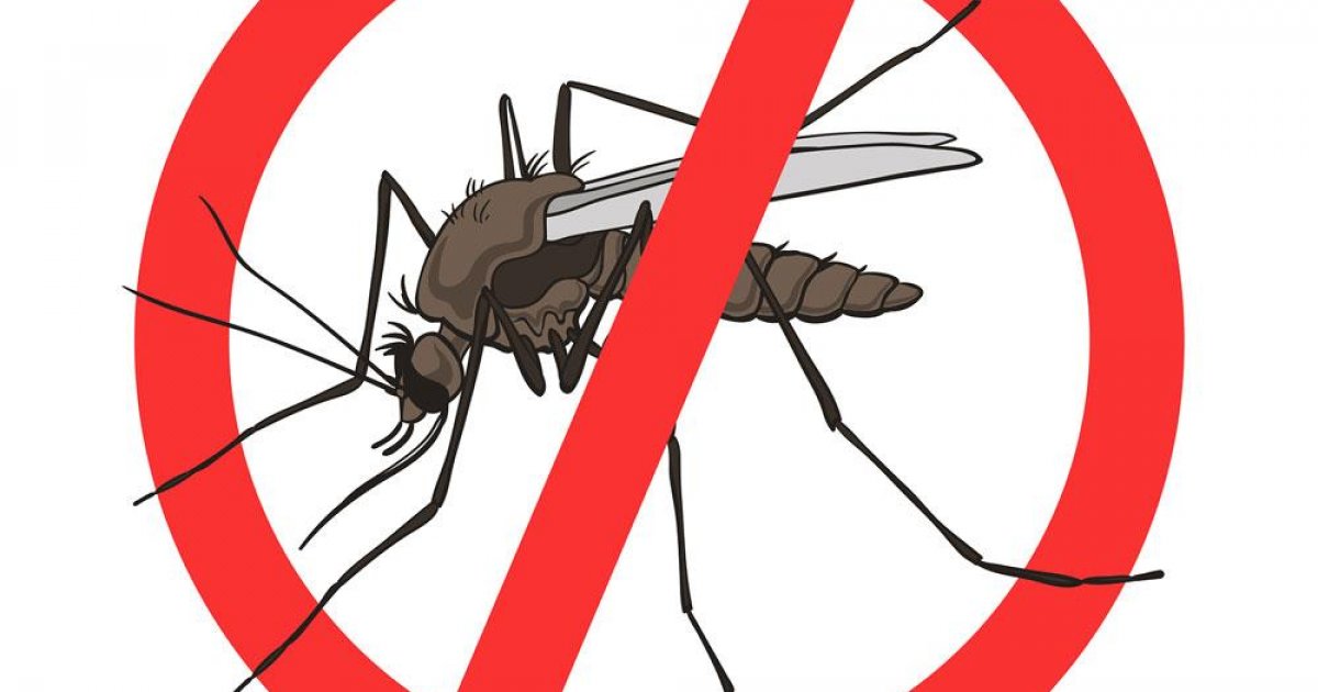 Mosquito eradication sales