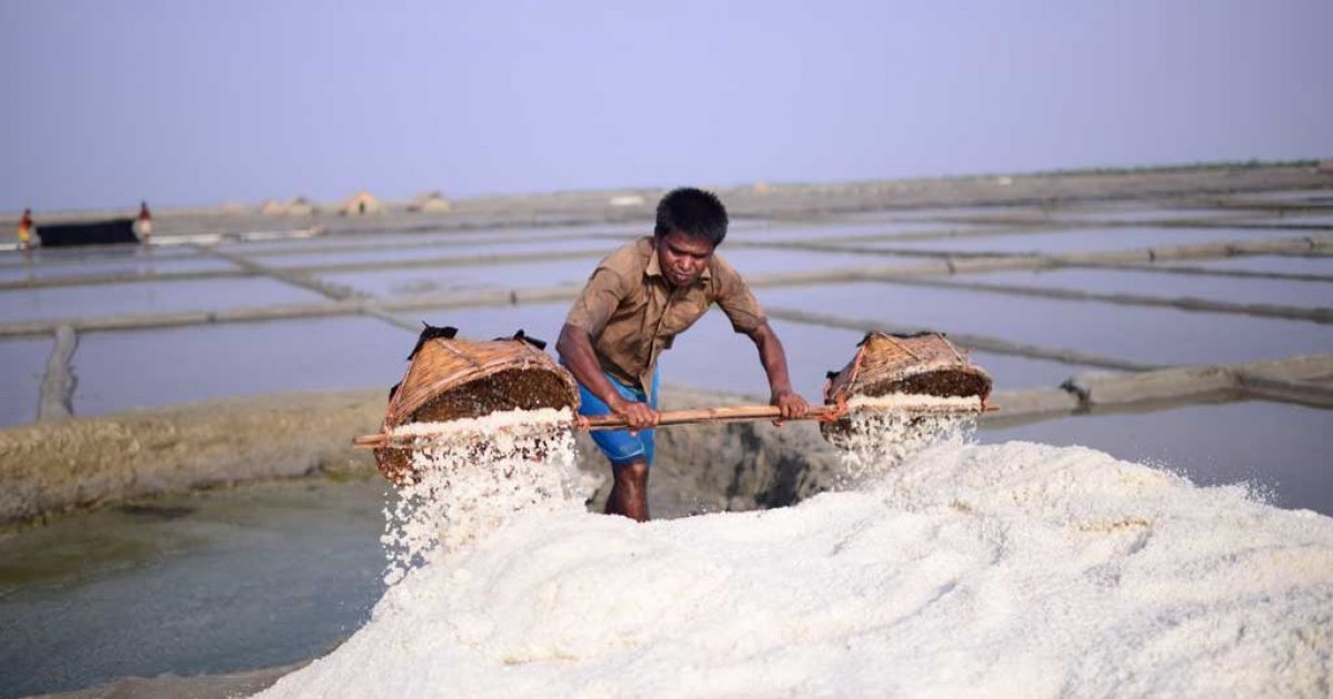 Highest salt production in Bangladesh in 62 years