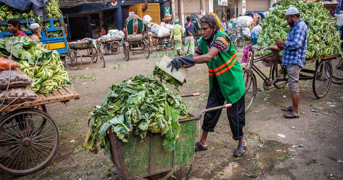 FAO: Urban food waste can be source of renewable energy Biology Diagrams