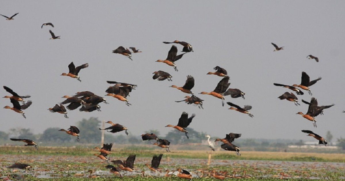 Yaramas qizlar porno rasmlar Ayollar juda kop fotosuratlarni tomosha qilishsa, erkaklar jinnilik qilishadi.