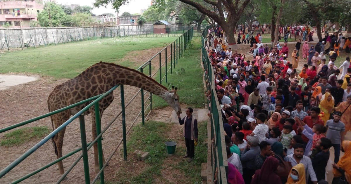 Dhaka zoo authorities heighten safety measures for visitors