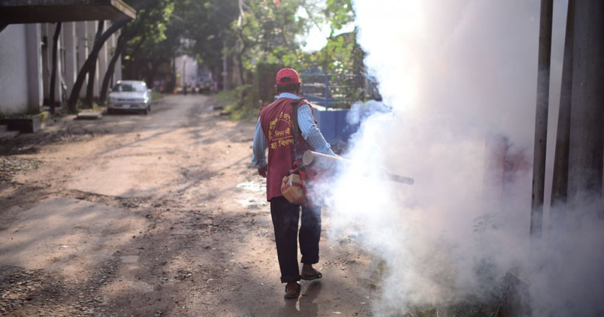 Insecticide fogging hot sale