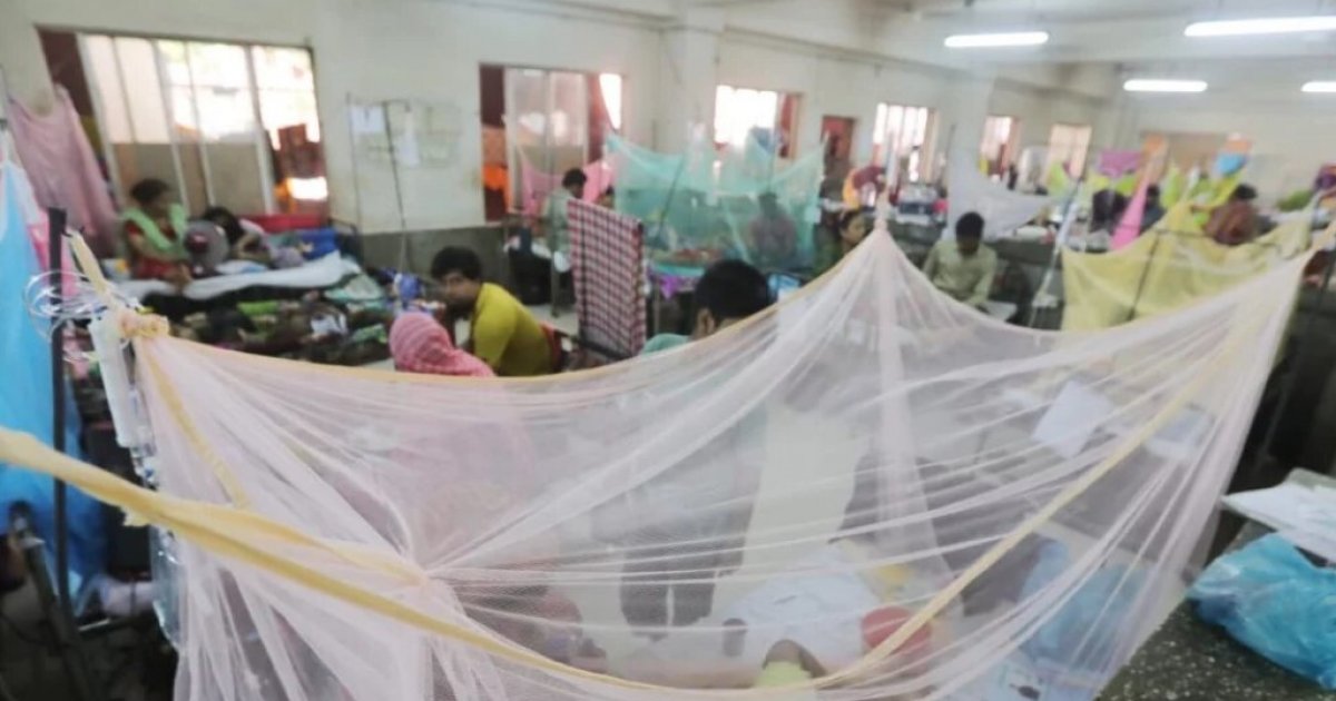 14 more dengue patients hospitalized in 24 hours