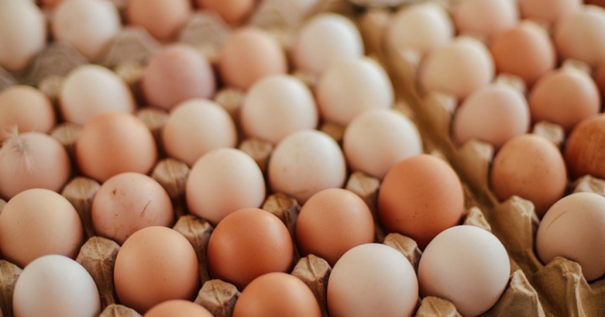 Govt permits import of 40.5m eggs