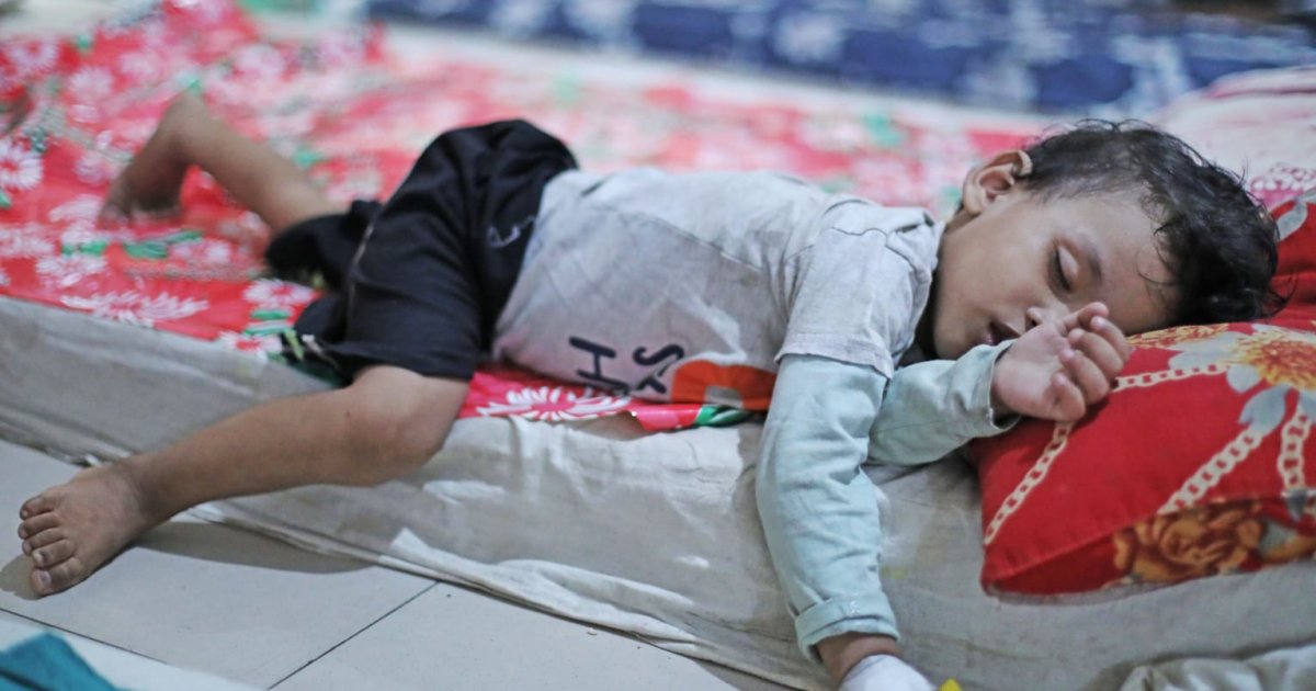 Dengue: 4 dead, 1101 hospitalized in 24hrs