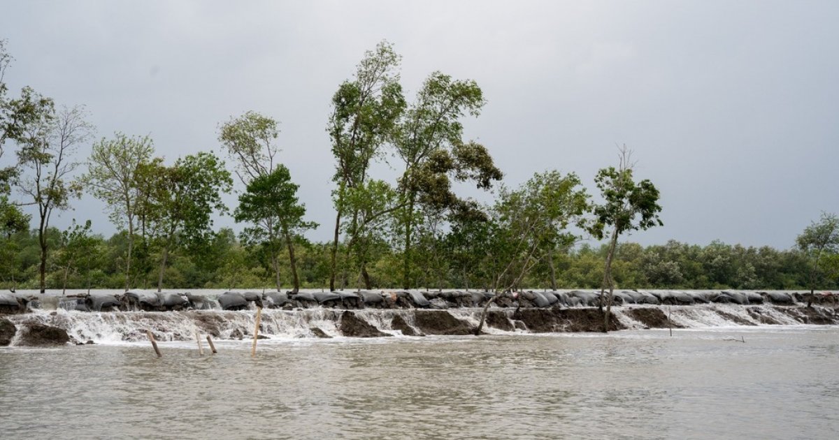 Bangladesh’s coastal belt faces relentless climate stress in 2025: Floods, salinity, health risks surge